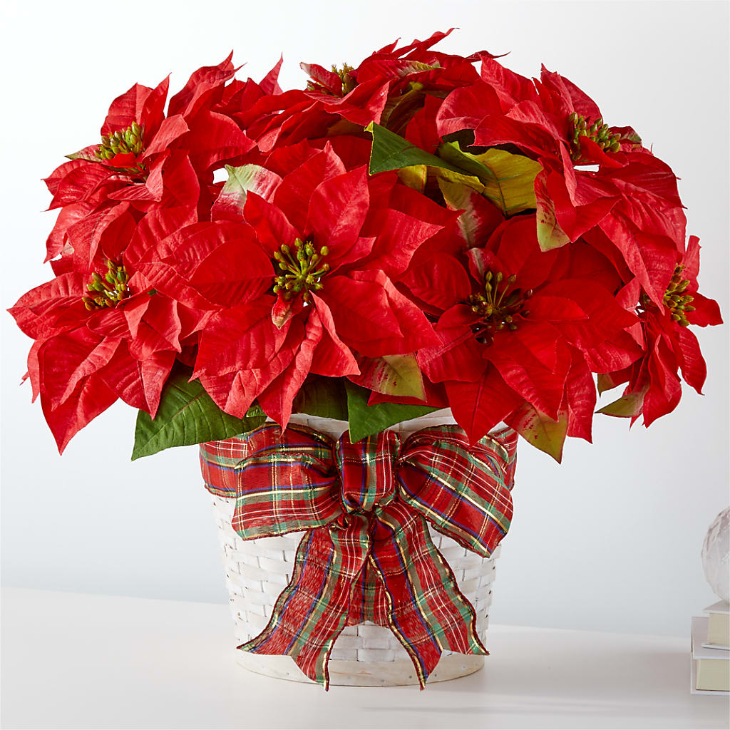 Happiest Holidays Poinsettia – Tala Florist Northshore, North Vancouver BC