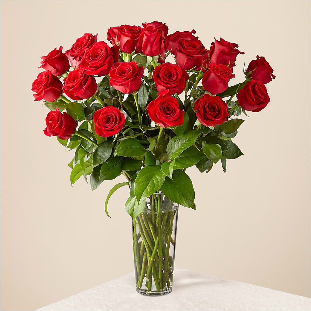 Long Stem Red Rose Bouquet – Tala Florist Northshore, North Vancouver BC