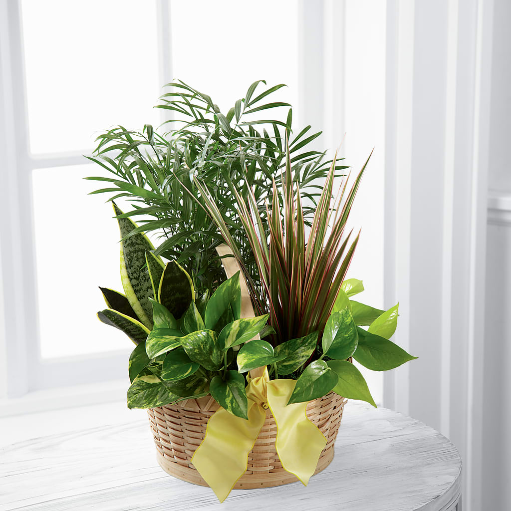 French Garden – Tala Florist Northshore, North Vancouver BC