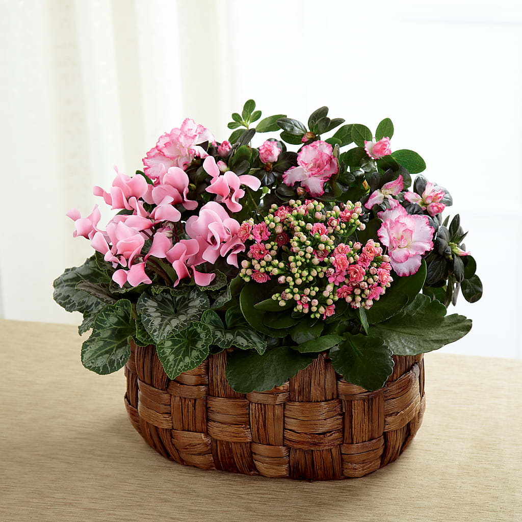 Pink Assortment – Tala Florist Northshore, North Vancouver BC