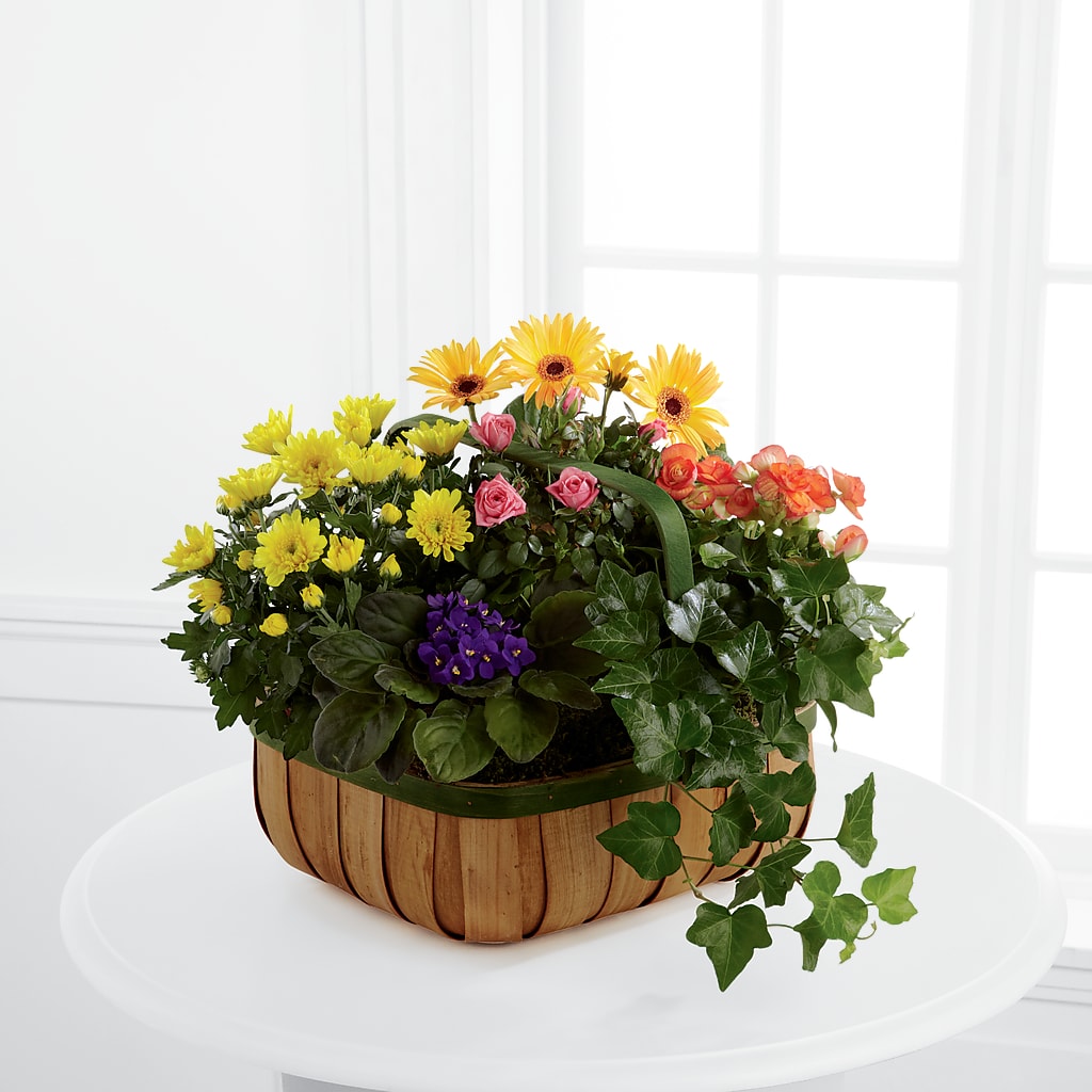 Gentle Blossoms Basket – Tala Florist Northshore, North Vancouver BC