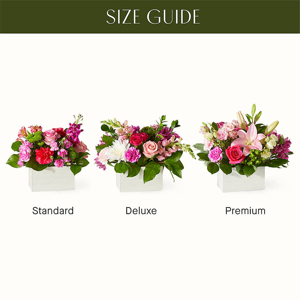 Sweetberry Box – A Florist Original – Tala Florist Northshore, North Vancouver BC