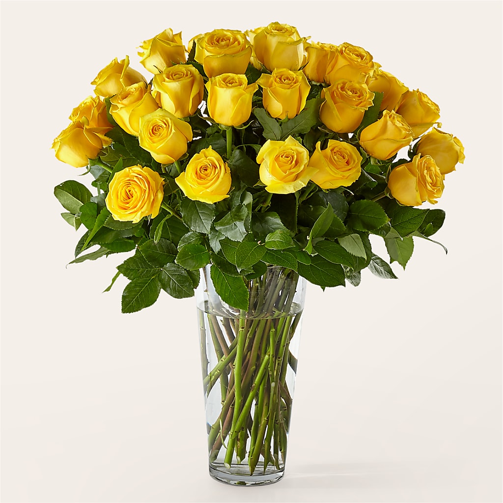 Long Stem Yellow Rose Bouquet – Tala Florist Northshore, North Vancouver BC