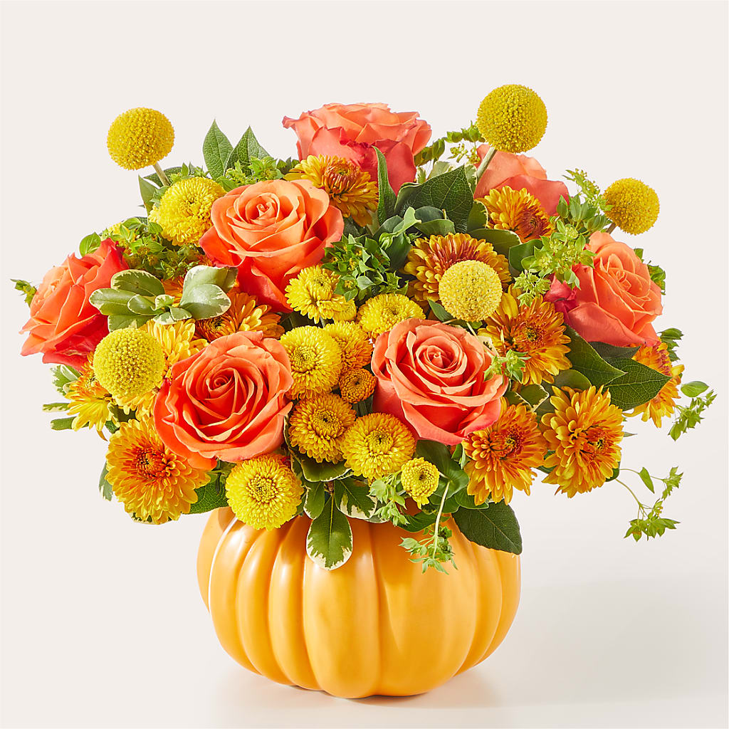 Gourdgeous Pumpkin – Tala Florist Northshore, North Vancouver BC