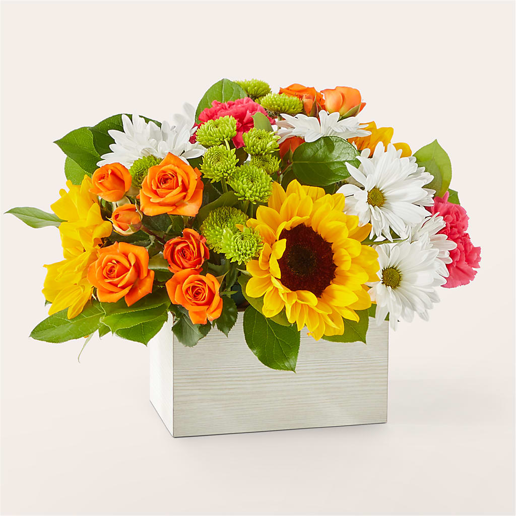 Sun-drenched Blooms Box Bouquet – Tala Florist Northshore, North Vancouver BC
