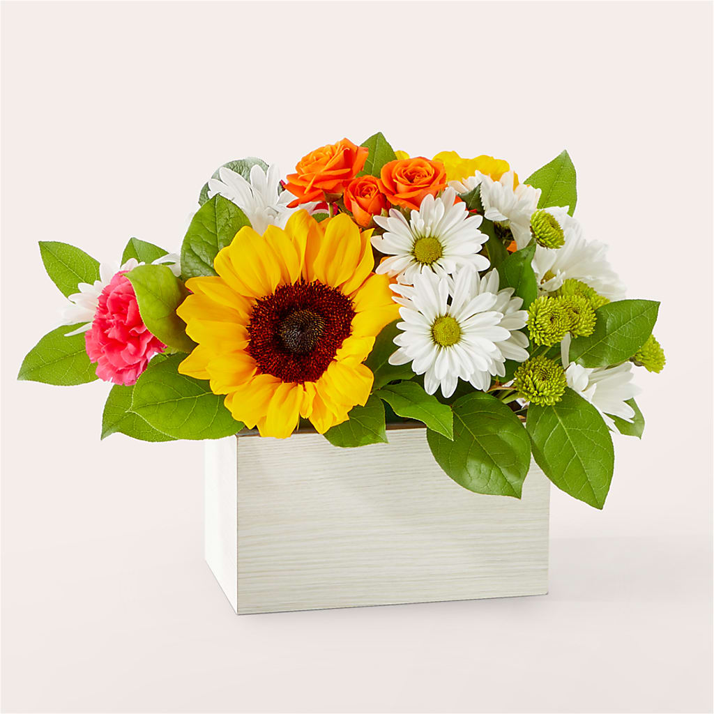 Sun-drenched Blooms Box Bouquet – Tala Florist Northshore, North Vancouver BC