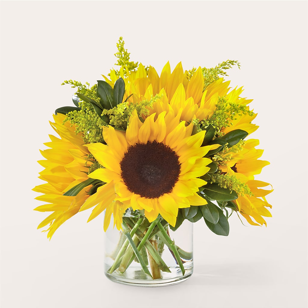 Beaming Sunflower Bouquet – Tala Florist Northshore, North Vancouver BC