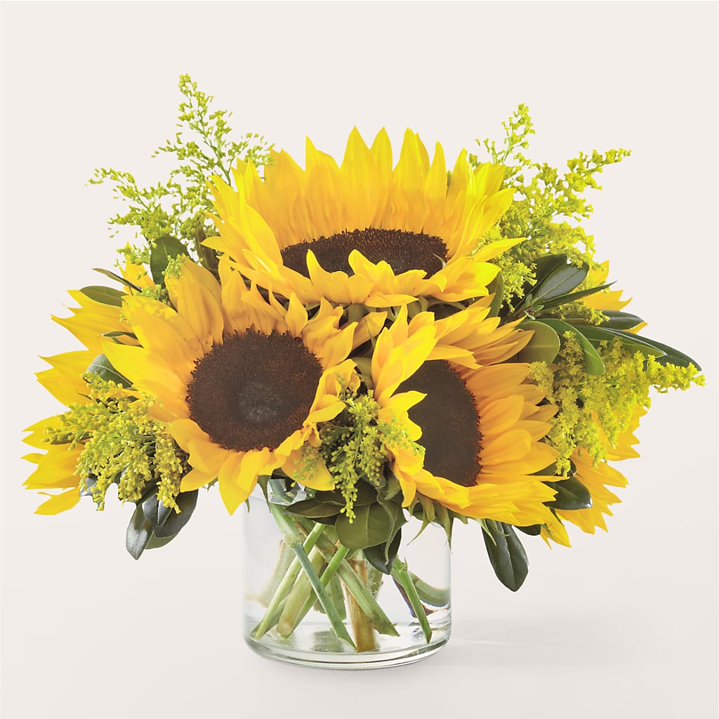 Beaming Sunflower Bouquet – Tala Florist Northshore, North Vancouver BC