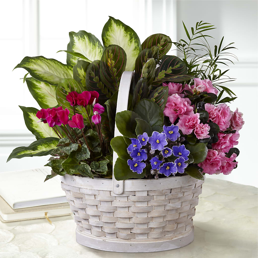 Peaceful Garden Planter – Tala Florist Northshore, North Vancouver BC