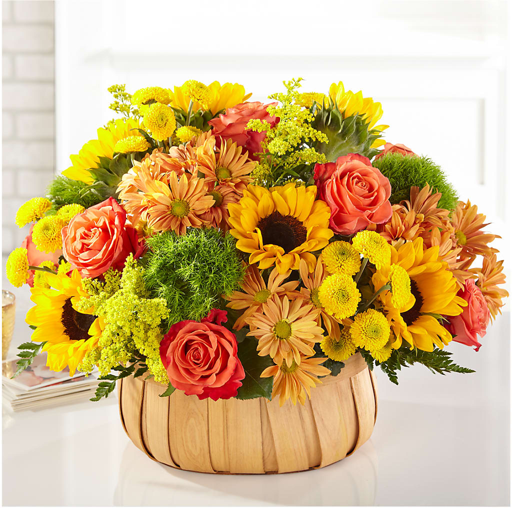 Harvest Sunflower Basket – Tala Florist Northshore, North Vancouver BC