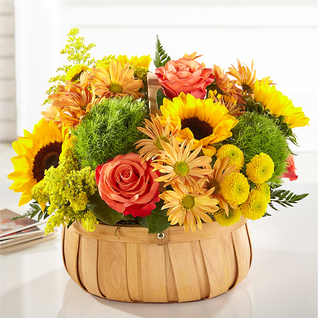 Harvest Sunflower Basket – Tala Florist Northshore, North Vancouver BC