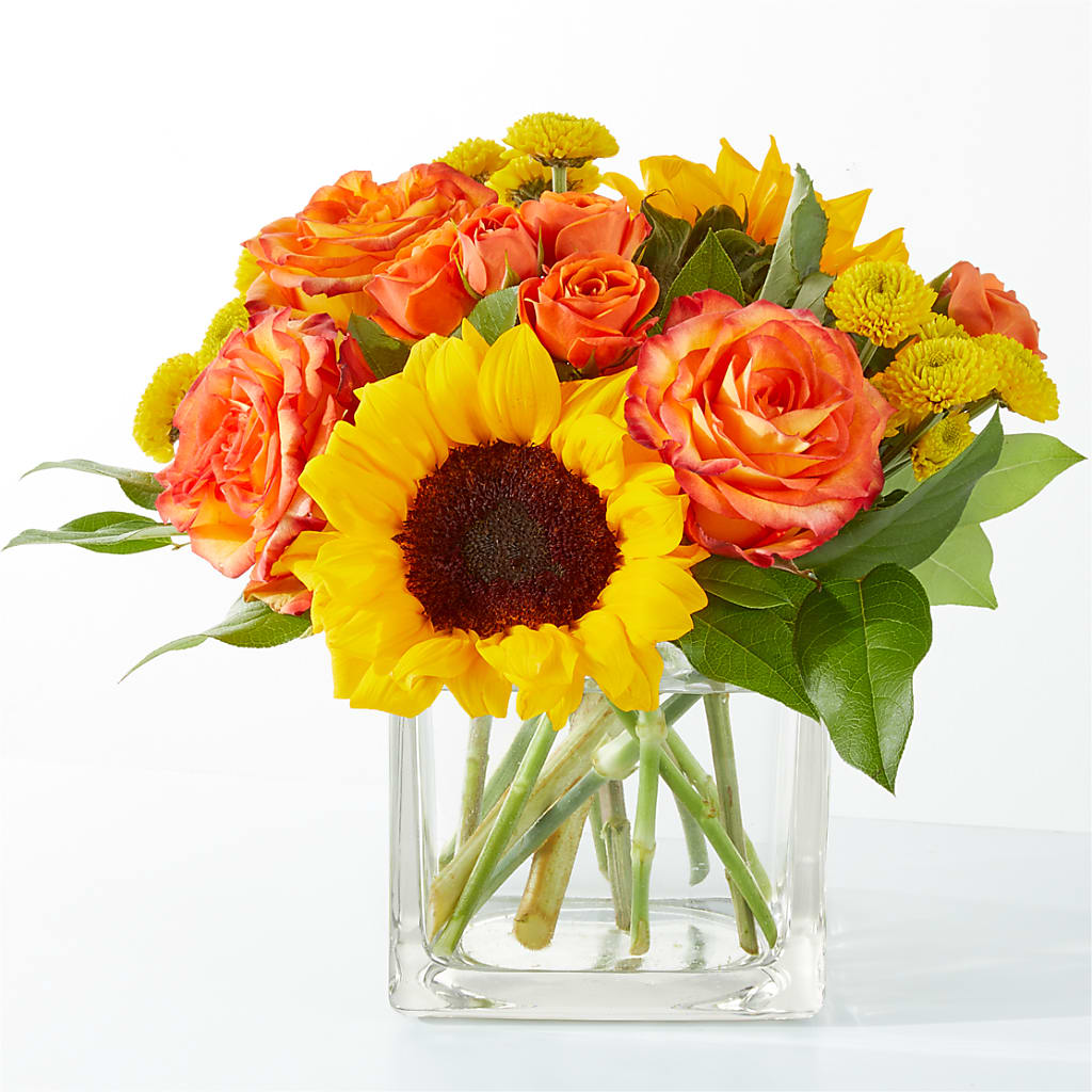 Picnic in the Park Bouquet – Tala Florist Northshore, North Vancouver BC