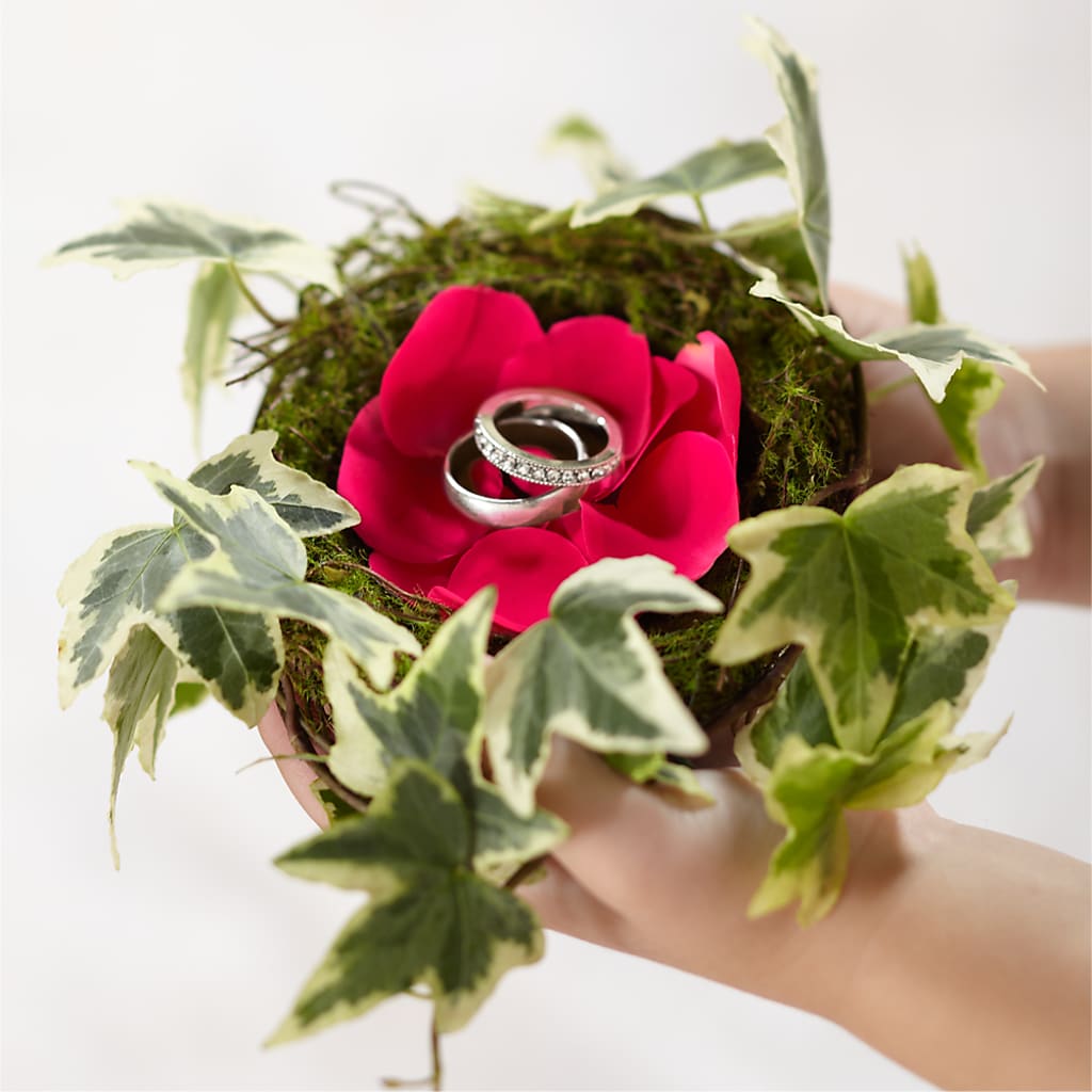 Lila Rose Ring Nest – Tala Florist Northshore, North Vancouver BC