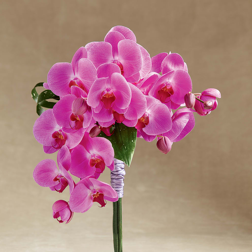 Glorious Bouquet – Tala Florist Northshore, North Vancouver BC