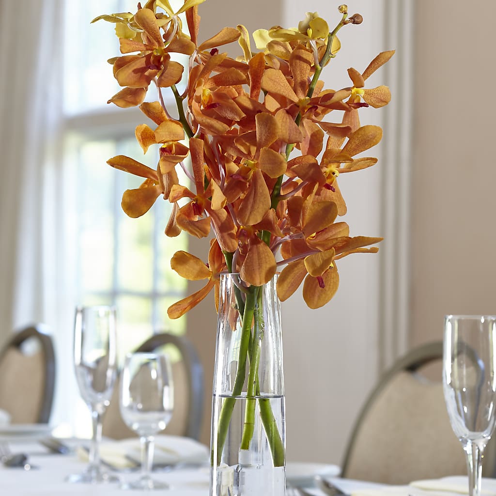 Orange Mokara Bud Vase – Tala Florist Northshore, North Vancouver BC