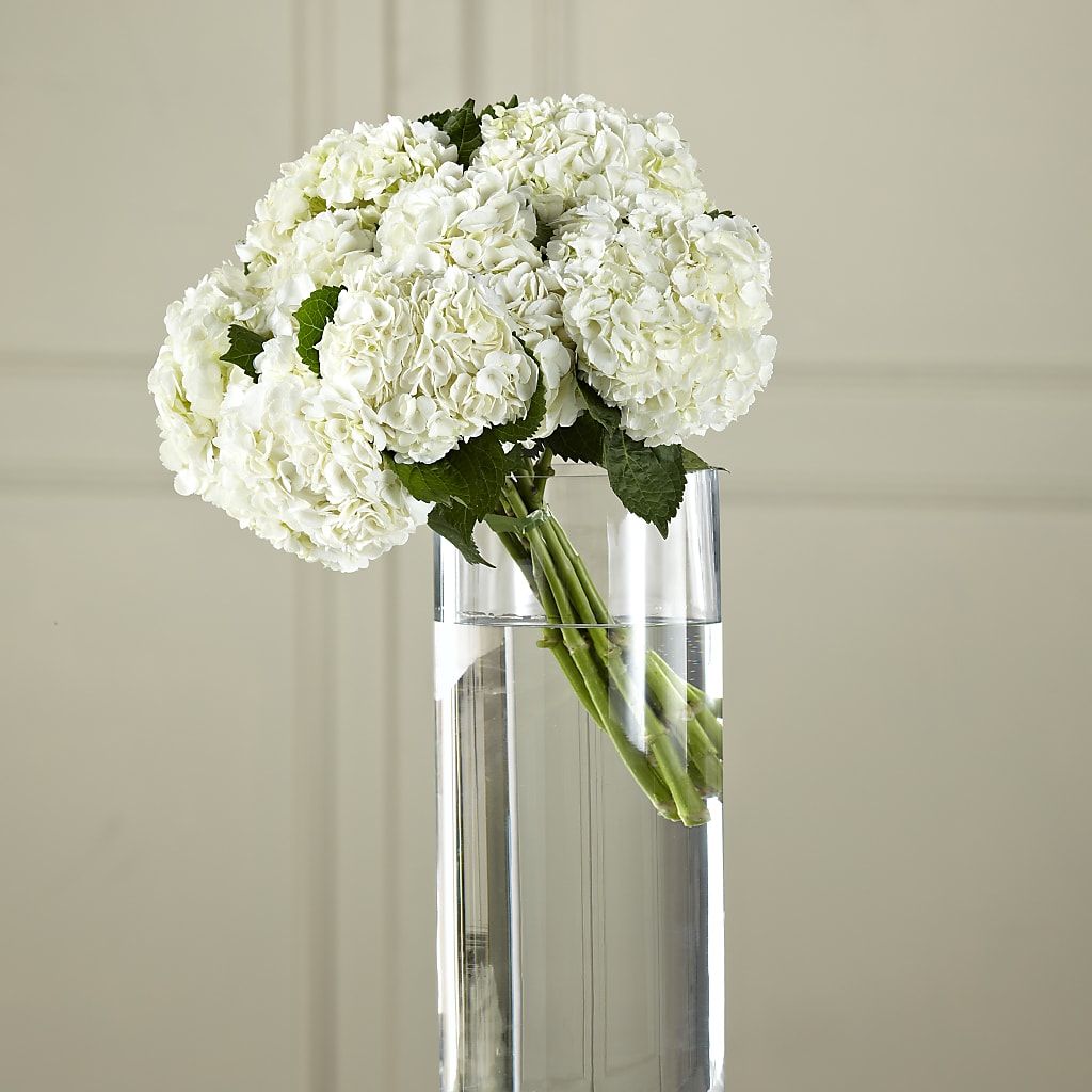 White Hydrangea Hand-Tied Bouquet – Tala Florist Northshore, North Vancouver BC
