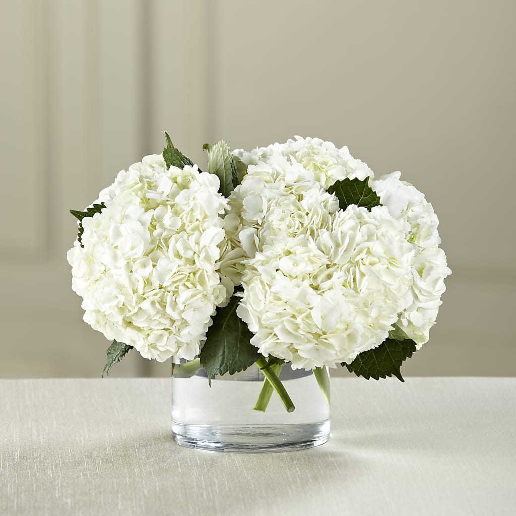 White Hydrangea Bouquet – Tala Florist Northshore, North Vancouver BC