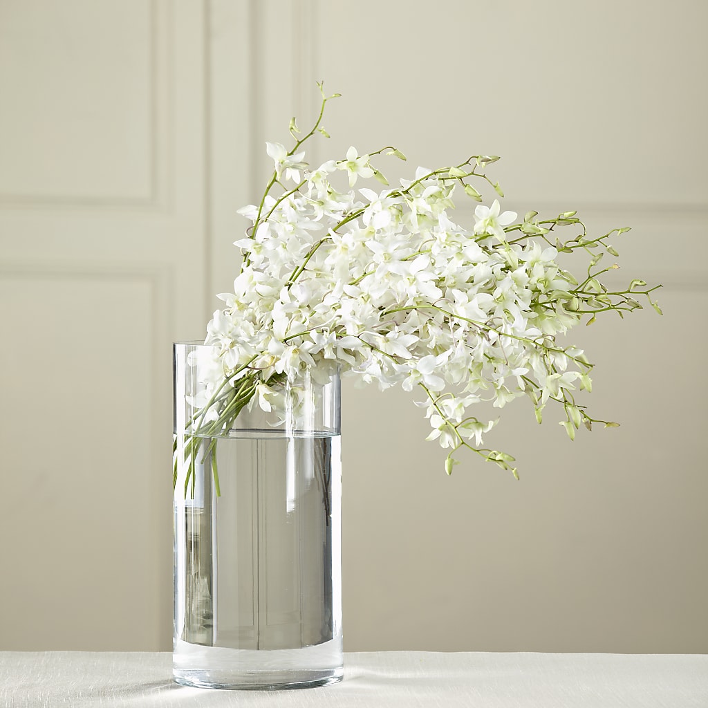 White Dendrobium Bouquet – Tala Florist Northshore, North Vancouver BC
