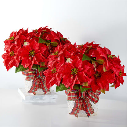 Happiest Holidays Poinsettia Bundle –  Tala Florist Northshore, North Vancouver BC