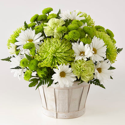 Lucky Charm Basket (Standard) –  Tala Florist Northshore, North Vancouver BC