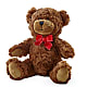 Adorable Plush Bear –  Tala Florist Northshore, North Vancouver BC