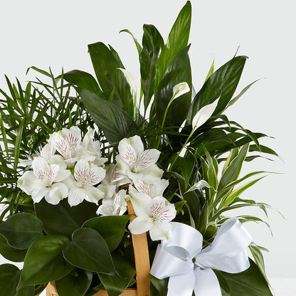 Peace & Serenity Dishgarden –  Tala Florist Northshore, North Vancouver BC