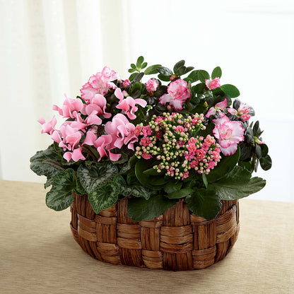 Pink Assortment –  Tala Florist Northshore, North Vancouver BC