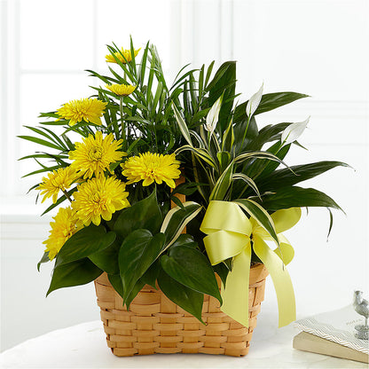 Loving Light Dishgarden –  Tala Florist Northshore, North Vancouver BC