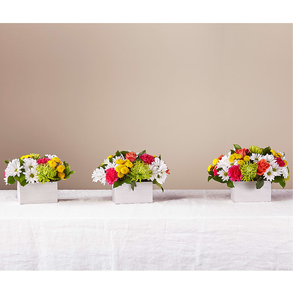 Sorbet Bouquet –  Tala Florist Northshore, North Vancouver BC