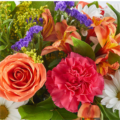 Oopsie Daisy Box Bouquet –  Tala Florist Northshore, North Vancouver BC