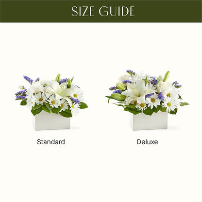 Beyond Blue Box Bouquet –  Tala Florist Northshore, North Vancouver BC