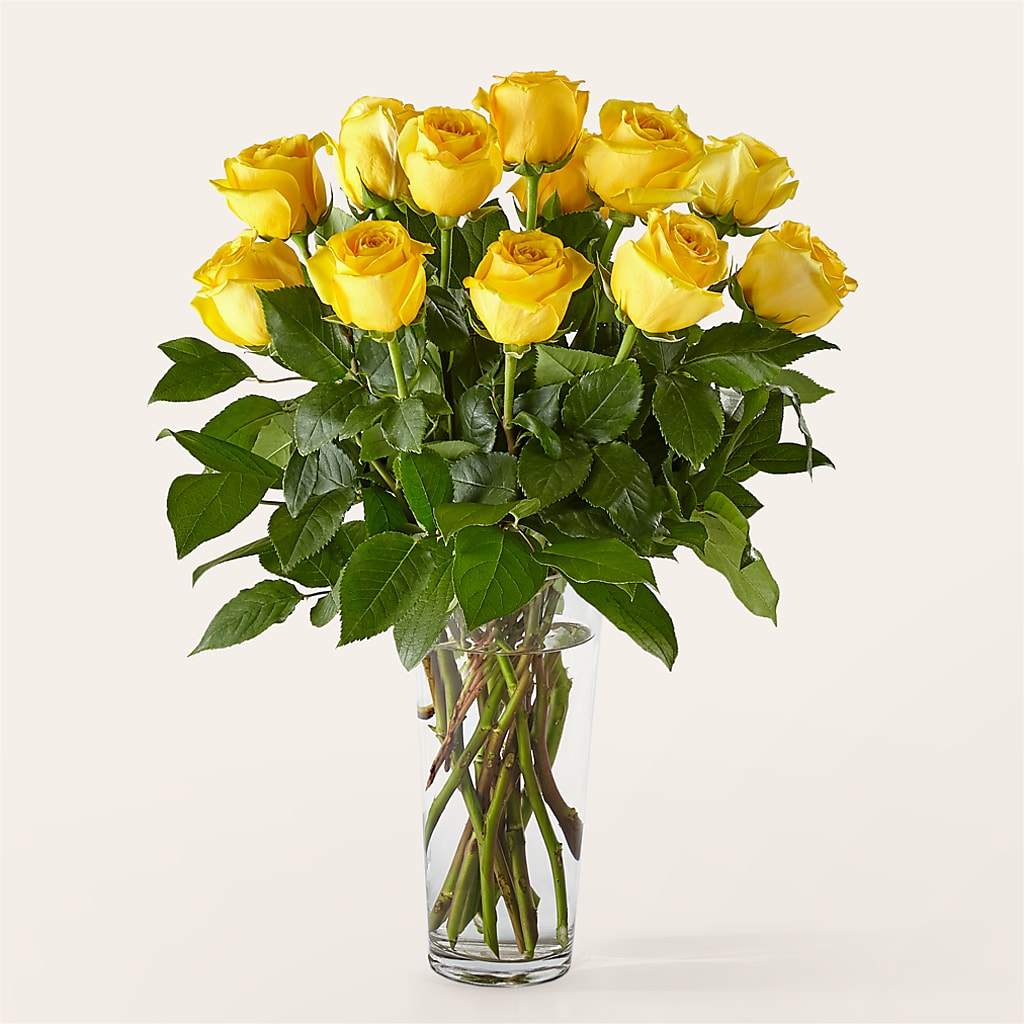 Long Stem Yellow Rose Bouquet –  Tala Florist Northshore, North Vancouver BC