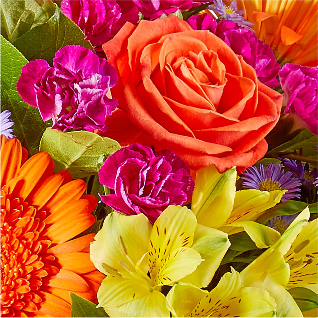 Tricks & Treats Pumpkin –  Tala Florist Northshore, North Vancouver BC