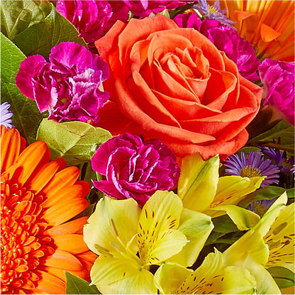 Tricks & Treats Pumpkin –  Tala Florist Northshore, North Vancouver BC