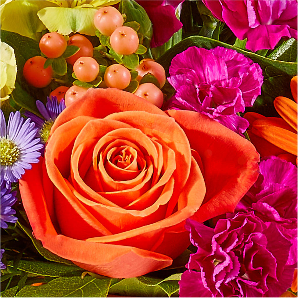 Tricks & Treats Pumpkin –  Tala Florist Northshore, North Vancouver BC
