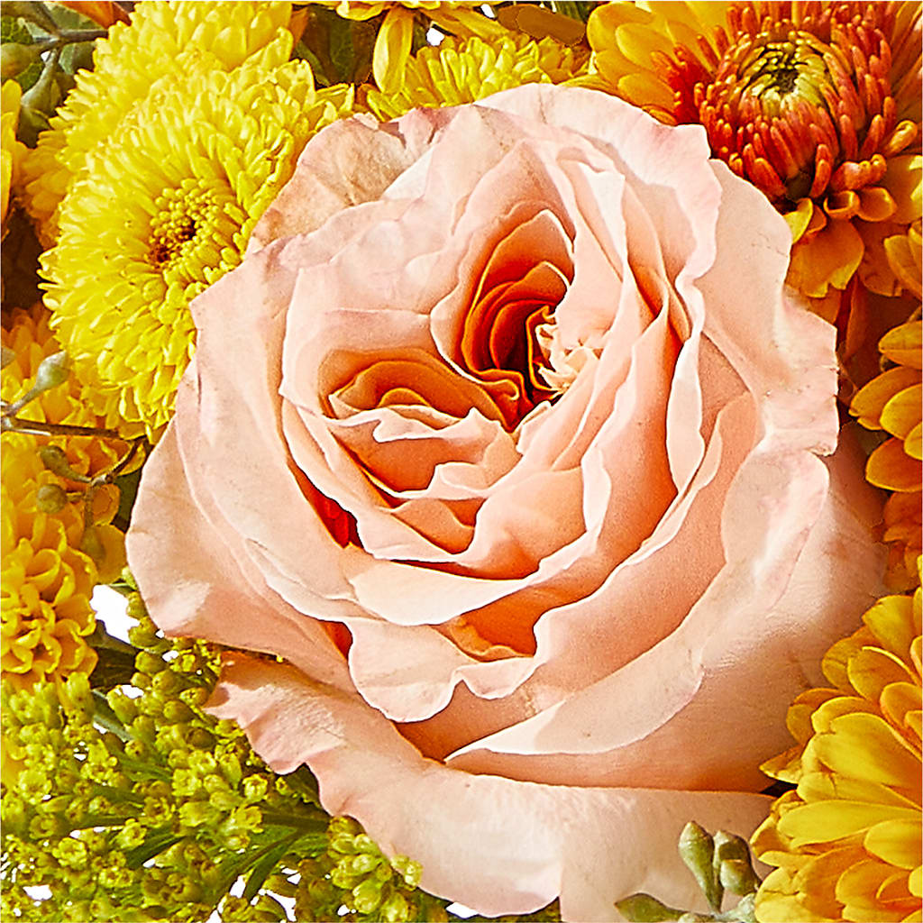 Peachy Pumpkin –  Tala Florist Northshore, North Vancouver BC
