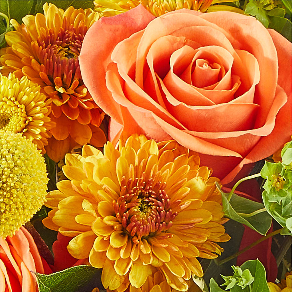 Gourdgeous Pumpkin –  Tala Florist Northshore, North Vancouver BC