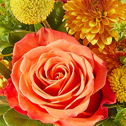 Gourdgeous Pumpkin –  Tala Florist Northshore, North Vancouver BC