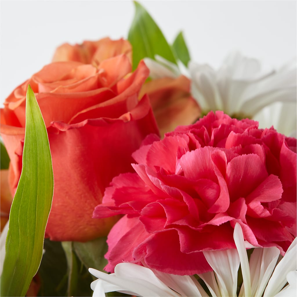 Oopsie Daisy Bouquet –  Tala Florist Northshore, North Vancouver BC