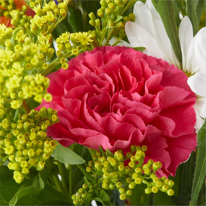 Oopsie Daisy Bouquet –  Tala Florist Northshore, North Vancouver BC