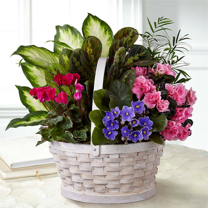 Peaceful Garden Planter –  Tala Florist Northshore, North Vancouver BC