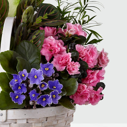 Peaceful Garden Planter –  Tala Florist Northshore, North Vancouver BC