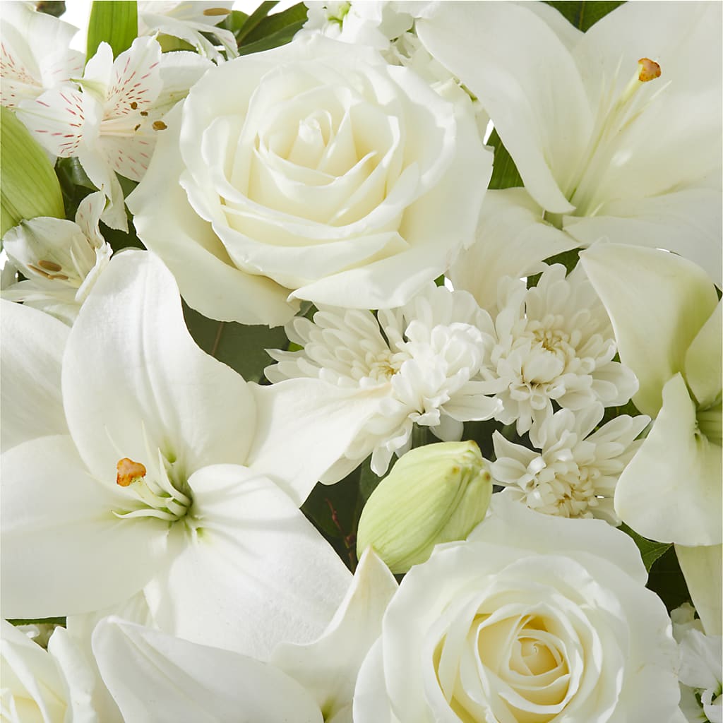 Peaceful Reflections Arrangement –  Tala Florist Northshore, North Vancouver BC