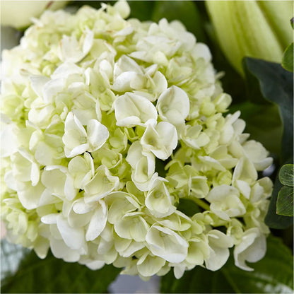 Classic Ivory – A Florist Original –  Tala Florist Northshore, North Vancouver BC