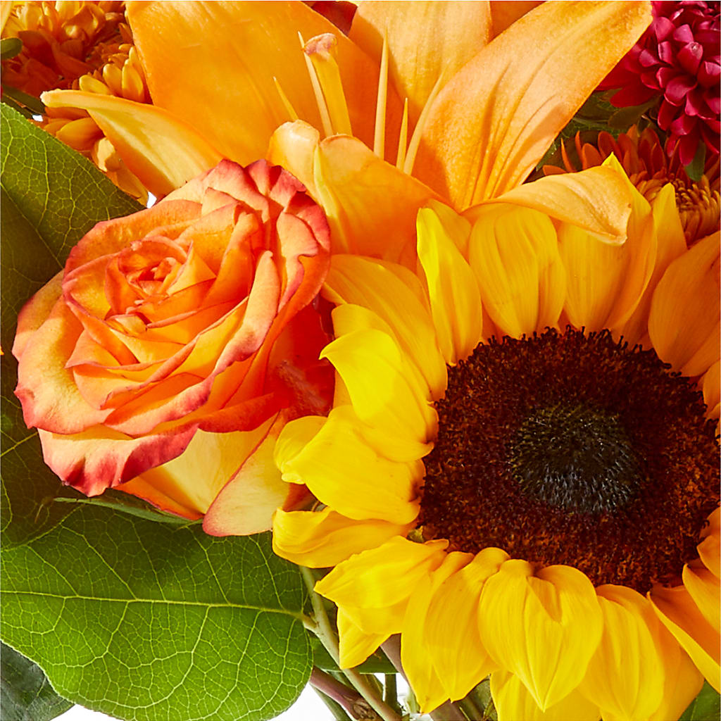 Fall Day Bouquet –  Tala Florist Northshore, North Vancouver BC
