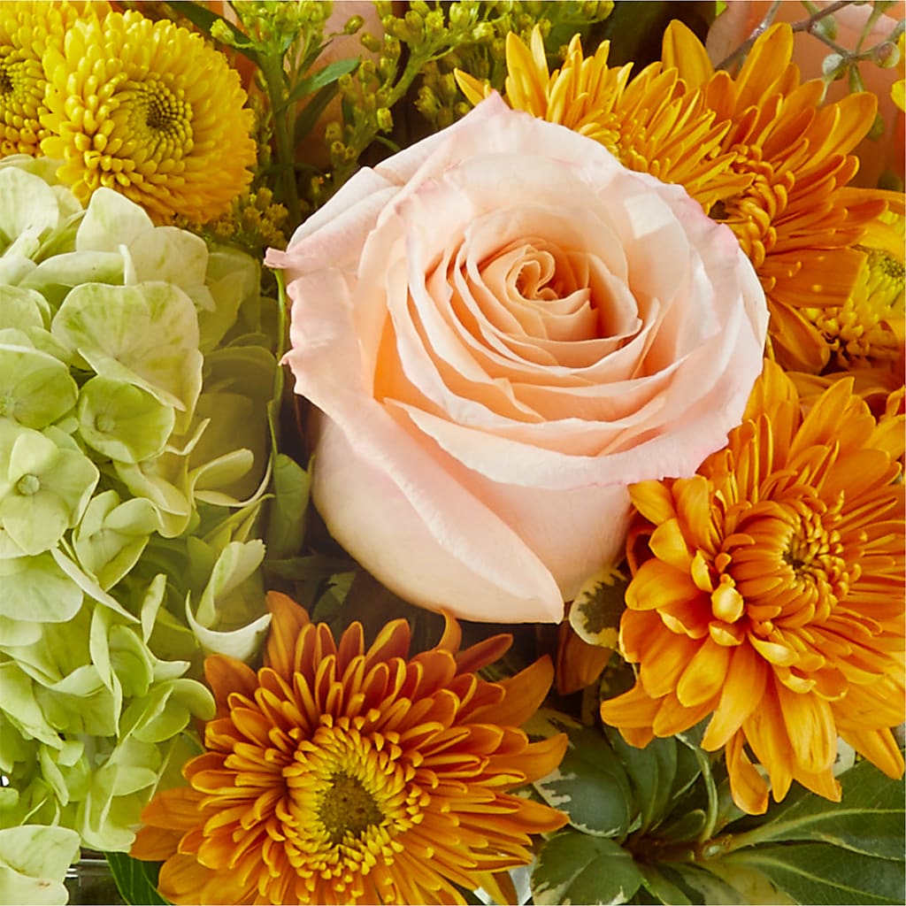 Fall Foliage Bouquet –  Tala Florist Northshore, North Vancouver BC