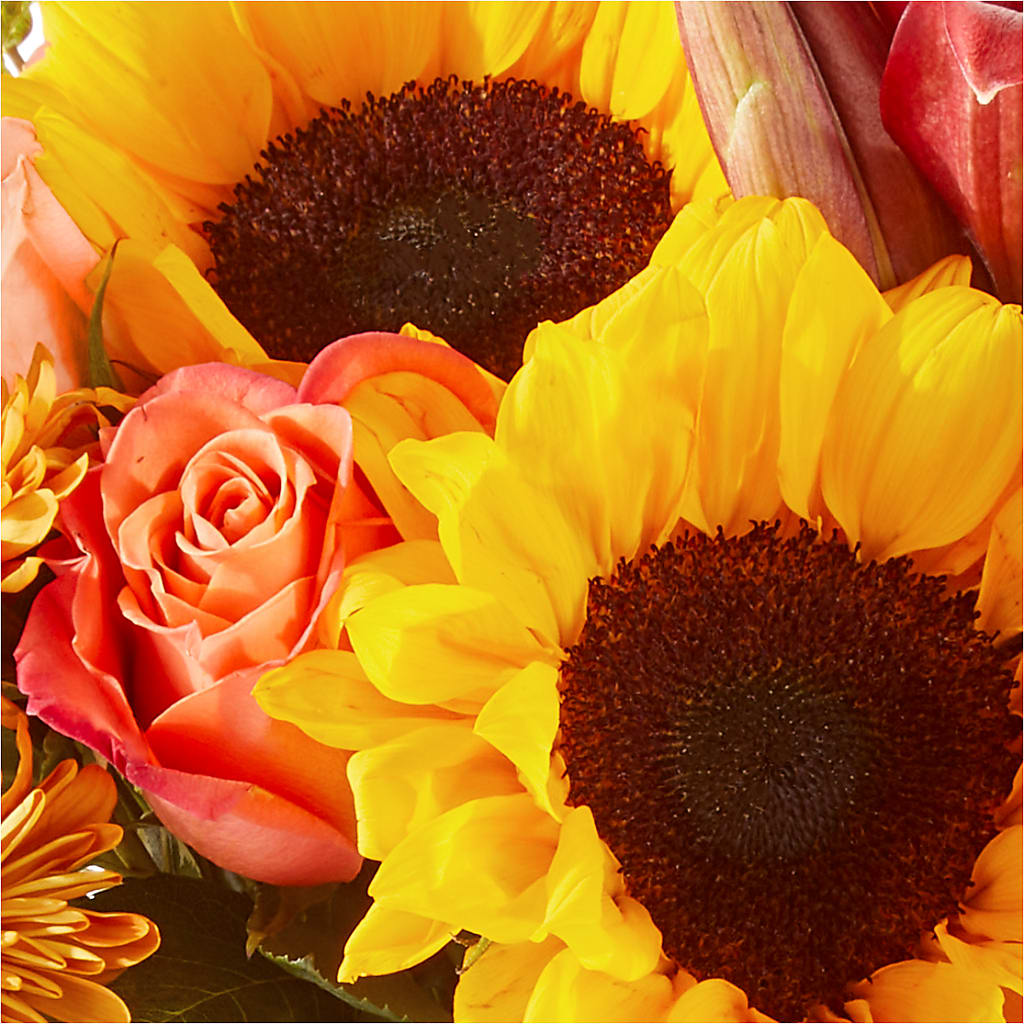Acorn Lane Bouquet –  Tala Florist Northshore, North Vancouver BC
