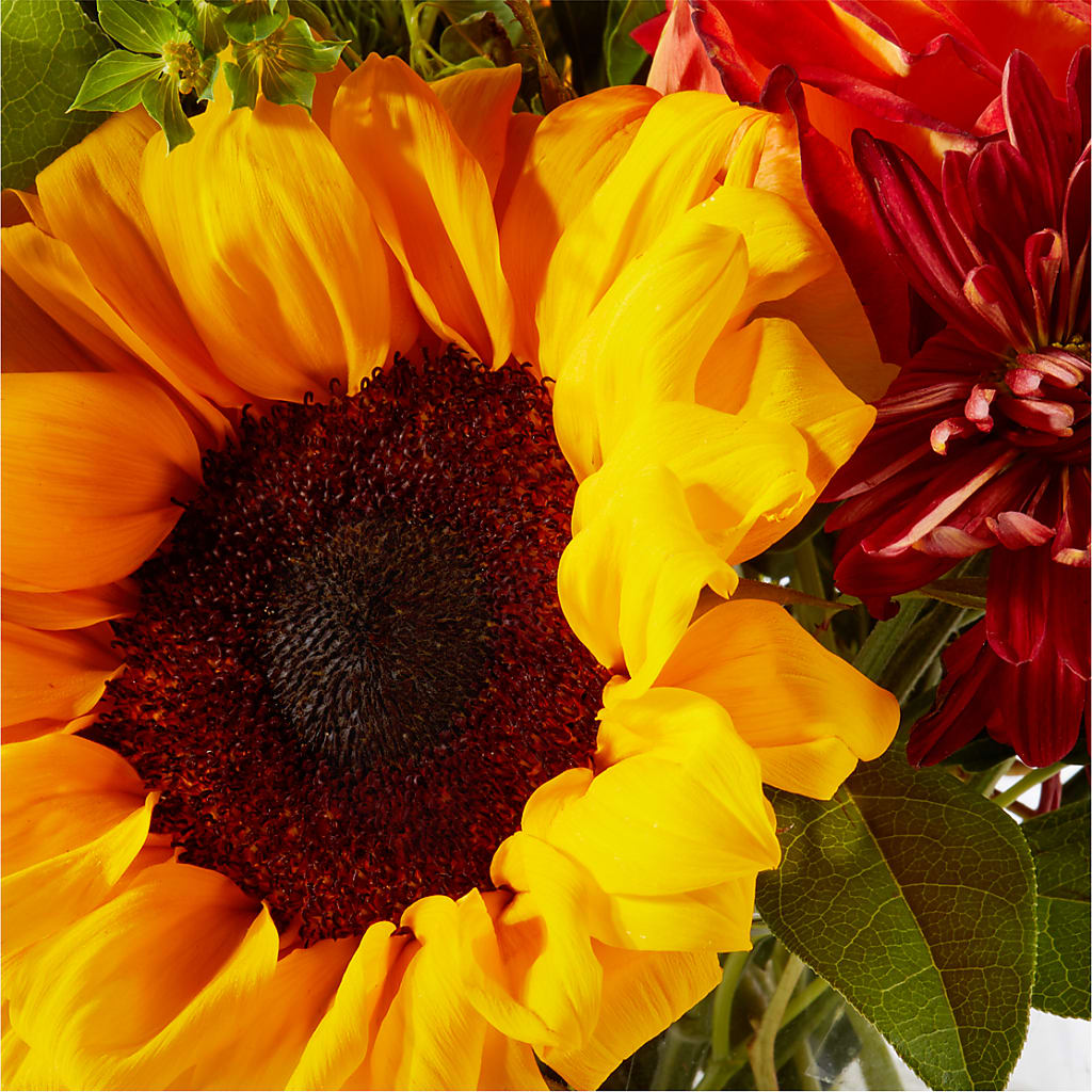 Harvest Festival Bouquet –  Tala Florist Northshore, North Vancouver BC