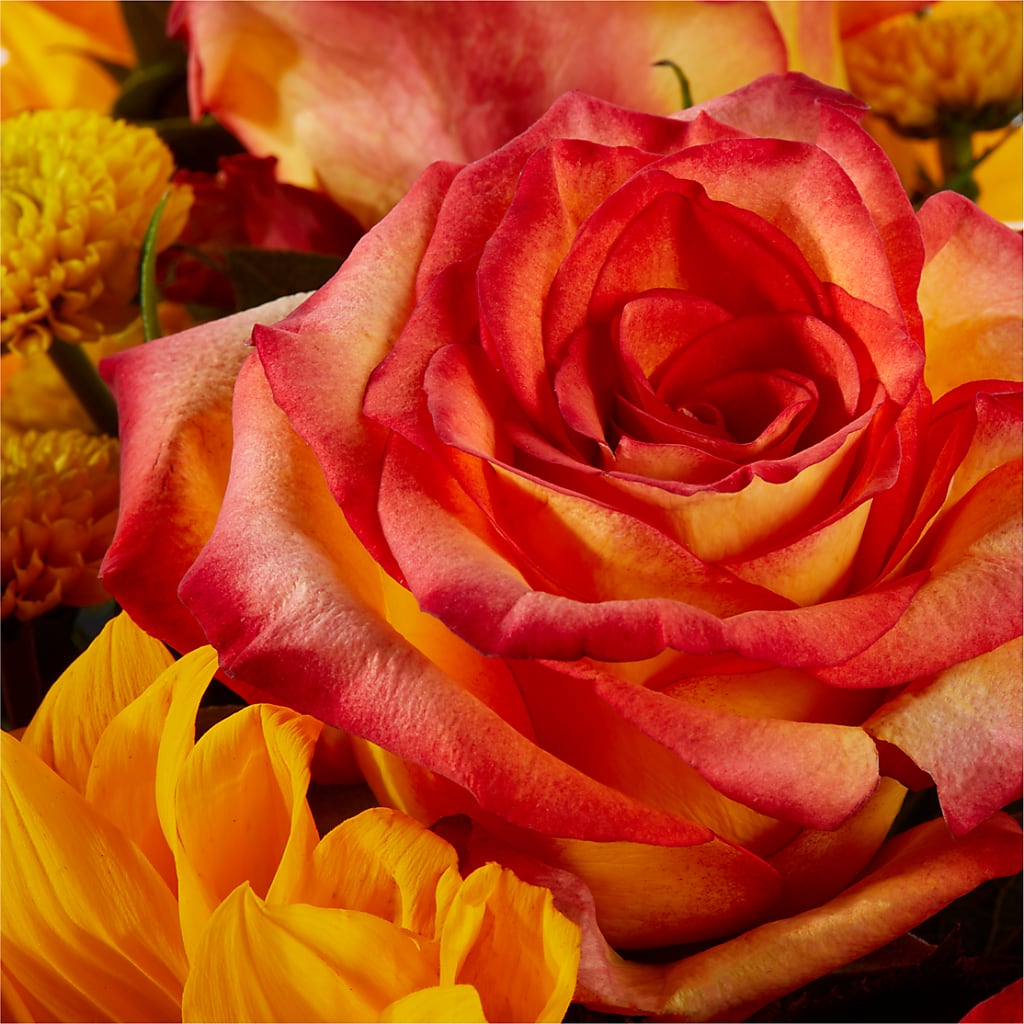 Picnic in the Park Bouquet –  Tala Florist Northshore, North Vancouver BC