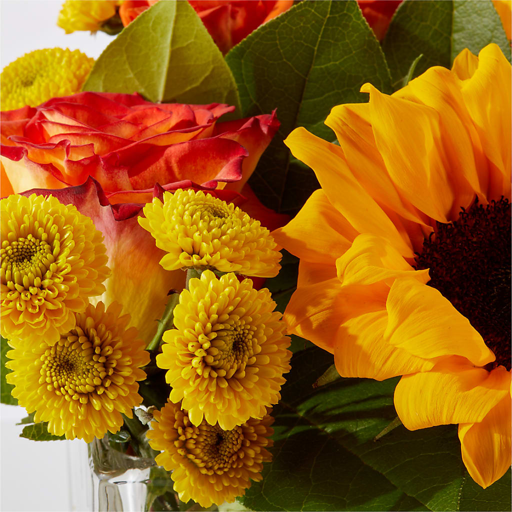 Picnic in the Park Bouquet –  Tala Florist Northshore, North Vancouver BC